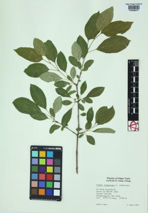 10178-Service File.jpg