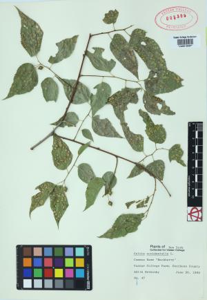 10192-Service File.jpg