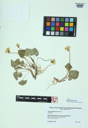 10195-Service File.jpg