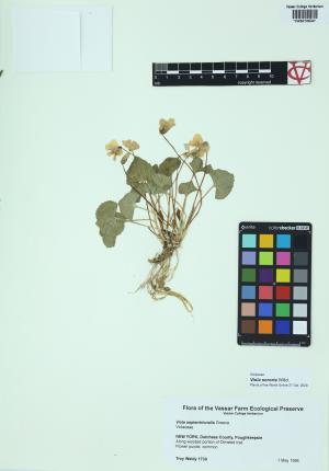 10196-Service File.jpg