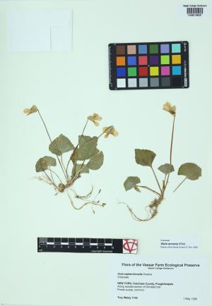 10197-Service File.jpg
