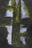 10732-Thumbnail Image.jpg