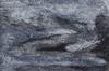 10737-Thumbnail Image.jpg