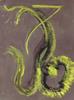 10757-Thumbnail Image.jpg