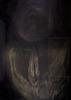 10762-Thumbnail Image.jpg