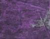 10779-Thumbnail Image.jpg