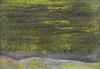 10785-Thumbnail Image.jpg