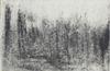 10787-Thumbnail Image.jpg