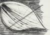 10789-Thumbnail Image.jpg