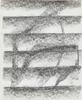 10796-Thumbnail Image.jpg