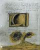 10805-Thumbnail Image.jpg