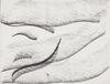 10806-Thumbnail Image.jpg