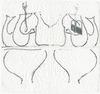 10832-Thumbnail Image.jpg