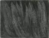 10833-Thumbnail Image.jpg