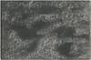 10837-Thumbnail Image.jpg