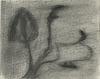 10862-Thumbnail Image.jpg