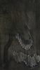 10865-Thumbnail Image.jpg