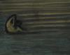 10866-Thumbnail Image.jpg