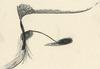 10869-Thumbnail Image.jpg