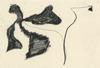 10871-Thumbnail Image.jpg