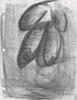 10888-Thumbnail Image.jpg