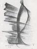 10892-Thumbnail Image.jpg