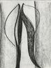 10912-Thumbnail Image.jpg