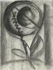 10914-Thumbnail Image.jpg