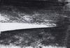 10918-Thumbnail Image.jpg