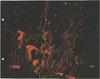 10919-Thumbnail Image.jpg