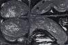10931-Thumbnail Image.jpg