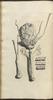 12095-Thumbnail Image.jpg