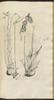 12098-Thumbnail Image.jpg