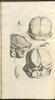12116-Thumbnail Image.jpg