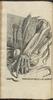 12136-Thumbnail Image.jpg