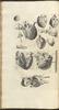 12142-Thumbnail Image.jpg