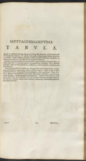 12150-Service File.jpg