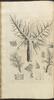 12152-Thumbnail Image.jpg