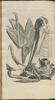 12153-Thumbnail Image.jpg