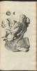 12158-Thumbnail Image.jpg