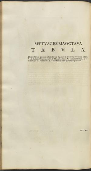 12161-Service File.jpg