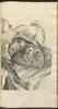 12162-Thumbnail Image.jpg