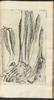 12163-Thumbnail Image.jpg