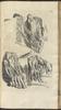 12164-Thumbnail Image.jpg