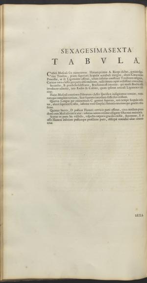 12175-Service File.jpg