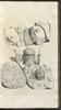12176-Thumbnail Image.jpg