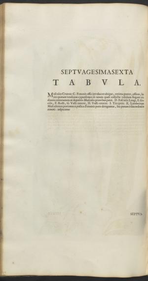12186-Service File.jpg