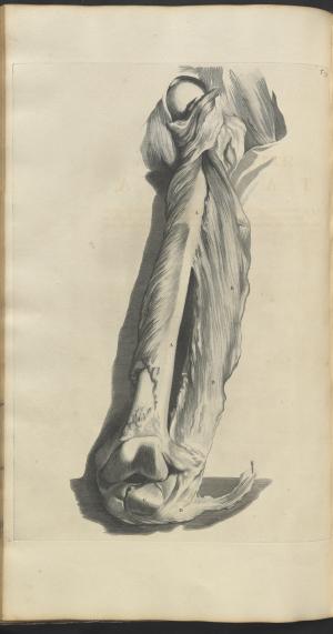12191-Service File.jpg