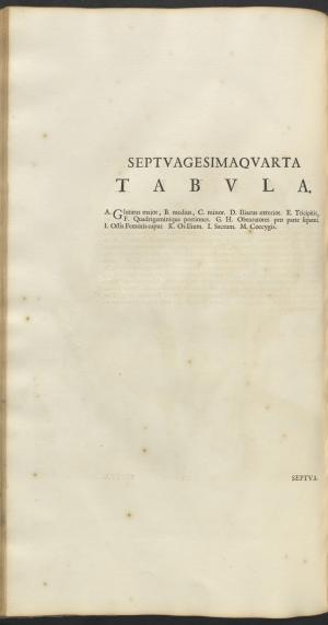 12198-Service File.jpg