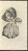 12214-Thumbnail Image.jpg